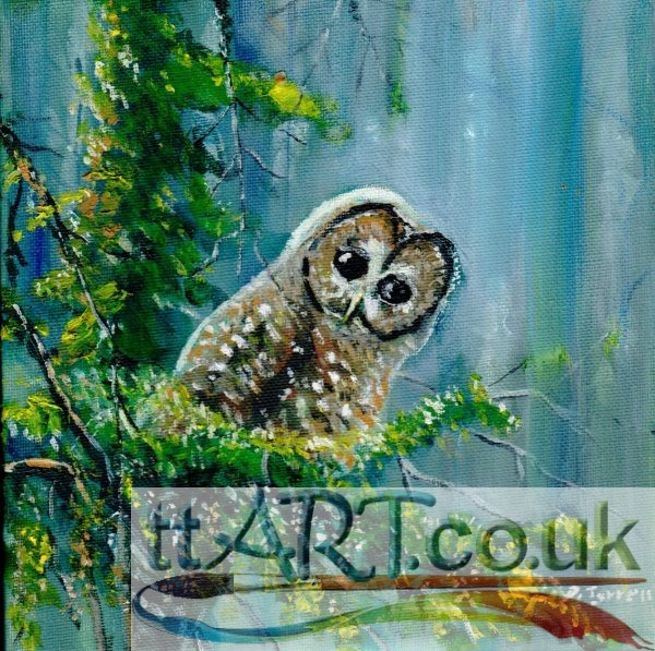 Midnight Owl